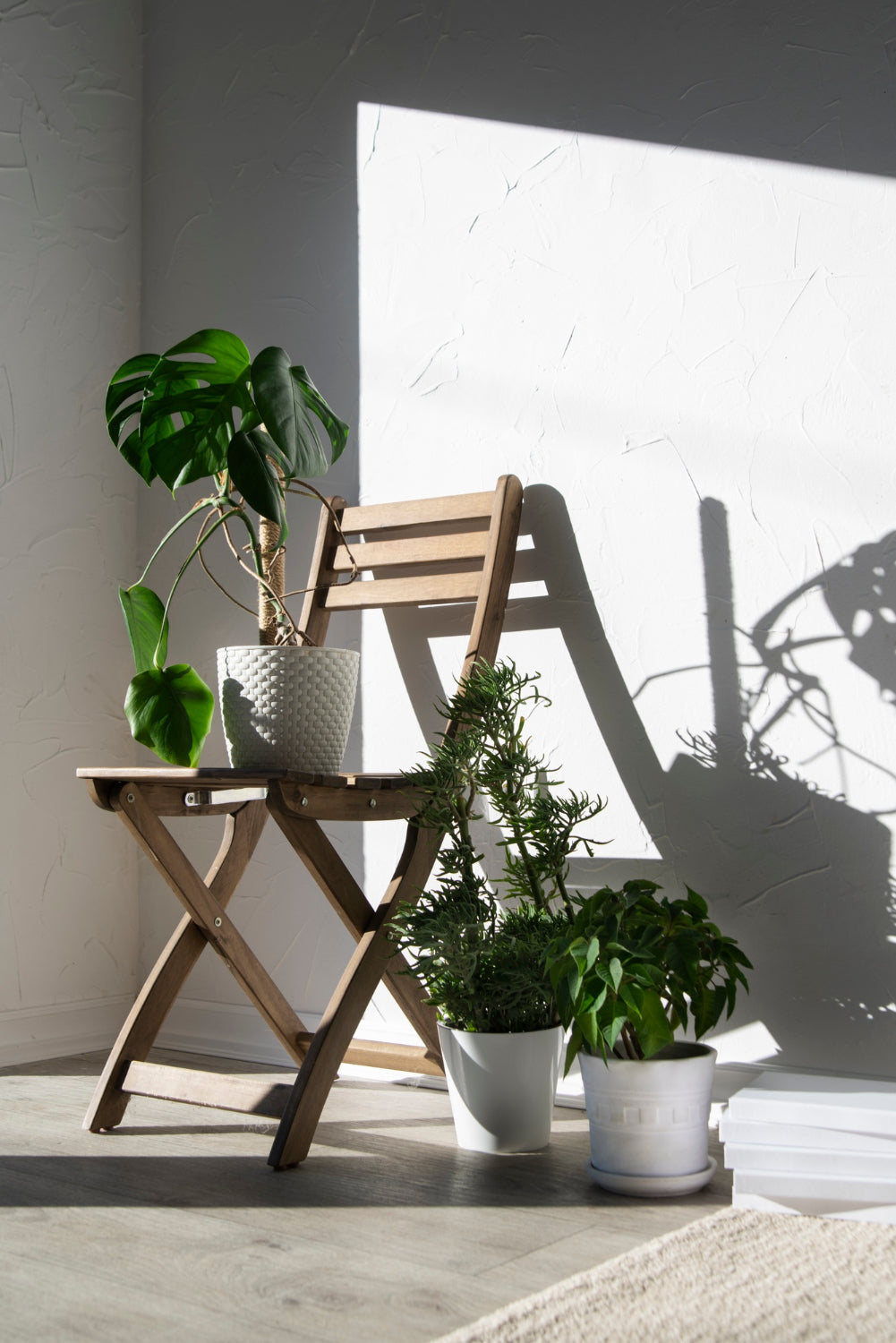 Plant Mailer